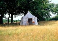 Decorative tent pitched in meadow