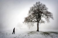 Man walking towards tree on field covered in snow, Winter