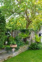 Secluded town garden - New Square, Cambridge