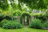 View from below weeping ash through gate in garden wall clothed with Jasmine climbing Hydrangeas and Roses - New Square, Cambridge