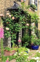 Front door with wrought iron porch and roses - New Square, Cambridge