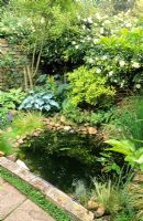 Small wildlife pond in shady corner. Flexible pond liner covered with layer of large pebbles to provide access for amphibians. Ferns, Hostas and Acorus gramineus - New Square, Cambridge
