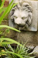 Lions head wall fountain over small pond seen through foliage.