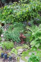 Minature Japanese style garden with weeping tree, cloud-pruned Buxus sempervirens - Box in pot with Soleirolia soleirolii, Ferns, Alpines and rusty dragon ornament