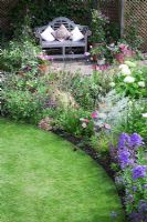 Small urban garden packed full of plants simply designed around a central circular lawn. Lutyens style bench with cushions and flower border with Hydrangea arborescens 'Annabelle', Campanula lactiflora, Knautia macedonica, pink Cosmos, Lythrum salicaria 'Zigeunerblut', Verbena bonariensis.