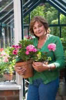Small urban garden packed full of plants simply designed around a central circular lawn. Veronica Clein with pots of Pelargoniums by her greenhouse.