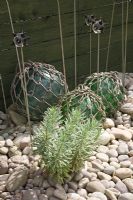 Seaside Inspired garden. Euphorbia 'Silver Swan' growing in pebbles with glass fishing floats and glass topped decorations.