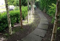 Curved path flanked by Betula -Birch trees in suburban family garden for restored Art Deco house.