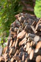 Pile of sawn wood