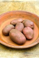 Solanum - Potato 'Una'