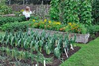 Leeks, onions and courgettes in vegetable garden, Calendula, French Marigolds, Pelargoniums, behind Runner Beans on tripods - RHS Growing Tastes Allotment Garden - RHS Hampton Court Flower Show 2009HCFS