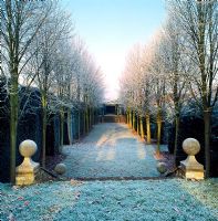 The Lime Walk with stone steps to pathway - Hazelbury Manor Garden, Wiltshire