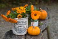 Gourds, marigolds and wallflowers
