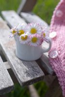 Daisies and pink child's cardigan on rustic seat