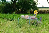 'Tea party' Whimsical setting in the meadow
