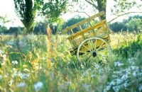 Vintage painted cart in wildflower meadow
