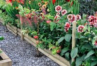 Espalier Apple 'Scrumptious' with perennial border behind it. Design - Bridgemere gardens. RHS Tatton Park Flower Show, 2009