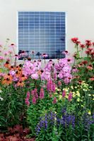 Perennial planting and Solar panel on garden wall