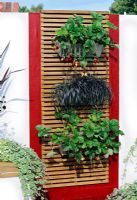 Strawberry plants and Ophiophogon in metal containers on vertical trellis - RHS Tatton Park flower show