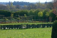 View over meadow to vegetable garden.
Blakenham Woodland Garden Suffolk. NGS. April