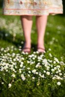 Woman wearing skirt and sandals standing on a lawn with Daisies in summer sunshine