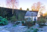 Frosty winter garden with Yorkstone path, Clipped Buxus - Box in pots, Betula - Birch tree and water feature.
Wol and Sue Staines, Glen Chantry Wickham Bishops, Essex. Early January
