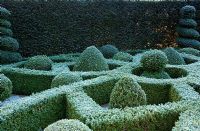 Box Parterre with frost in Winter at Wilkins Pleck NGS, Whitmore,  Staffordshire
