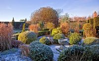 Shaped buxus hedging with mature shrubs and trees in frost and winter sunshine at at Wilkins Pleck, NGS, Whitmore, Staffordshire
