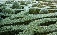 Box Parterre with frost in Winter at Wilkins Pleck NGS, Whitmore, Staffordshire