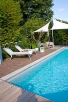 Swimming pool, patio and loungers with canopy 

