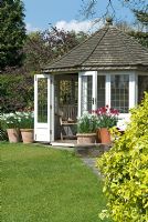 Summerhouse with containers of daffodils and tulips - RHS Harlow Carr