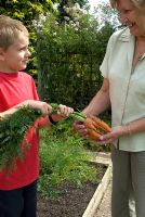 Boy showing his grandmother misshapen carrots grown in his raised bed