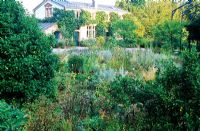 Prairie garden at front of house at Hermannshof, Weinheim, Germany. North American influenced Prairie Planting of grasses and perennials. September.