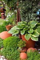 Border with Hosta in pot and clay ornaments 