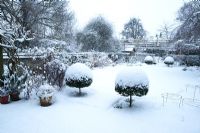 Town garden with snow