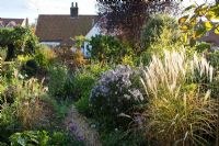 Garden in late summer with Asters, Miscanthus and Sedums