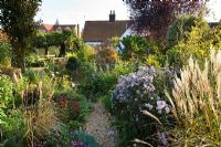 Garden in late Summer with Asters, Miscanthus and Sedums