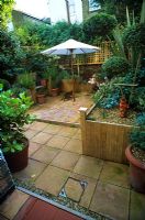 Raised beds, pot plants, paved patio, parasol and trellis in urban garden - After a makeover of a Brixton garden for Channel 4 Garden Doctors
