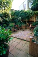 Raised beds, pot plants, paved patio and trellis in rear garden - After makeover of a Brixton garden for Channel 4 Garden Doctors 