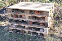 Insect house made by children as part of an environmental project using wooden pallets, bamboo, straw, twigs and teracotta plant pots