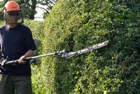 Man using long handled petrol driven hedge cutter with long blade to trim a Crataegus monogyna hedge in August
