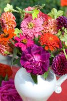 Colourful floral arrangement of late summer flowers in white jug - Nicotania, Dahlias, roses and Zinnias
