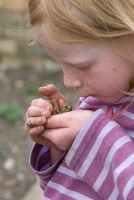 Young girl holding a common frog 