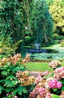 Hydrangea quercifolia in foreground with view to the duck ind and Weeping Ash - Dewstow Garden and Grottoes, Caewent, Monmouthshire, Wales