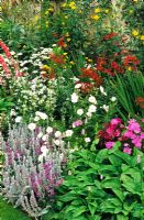 Border above the croquet lawn with Cosmos 'Gazebo Mixed', Crocosmia 'Lucifer', Stachys byzantina, Rudbeckia, Gladioli, Persicaria - Dewstow Garden and Grottoes, Caewent, Monmouthshire, Wales