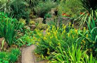 The Bog Garden - Dewstow Garden and Grottoes, Caewent, Monmouthshire, Wales