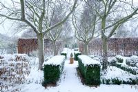 Path with box hedging forming central axis to country garden. Cherry trees and beech hedging