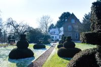 Yew topiary chess pieces with view towards house on frosty morning - The Manor, Hemingford Grey