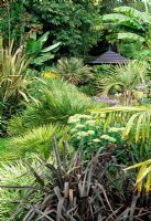 Phormium cookianum 'Platts Black' in foreground. Sedum spectabilis, Trithinax campestris, Musa Basjoo, Butia yatay. Beechwell House Garden Yate, South Glos.