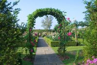 The archway leading to the english rose garden. Town Place Garden, Sussex